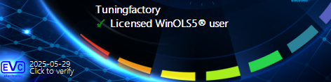 winols-license-tuningfactory